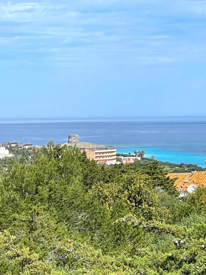 Casa Vacanze Stintino Vista Mare Extérieur photo